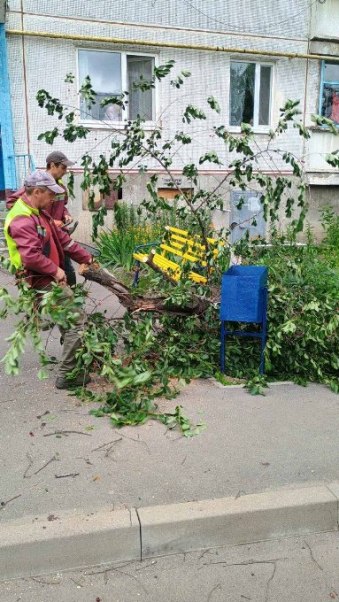 У Харкові прибирають повалені дерева після буревію